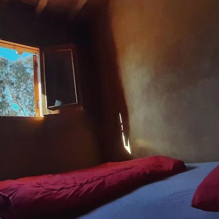 Tunis Camp Fayoum Bagian luar foto