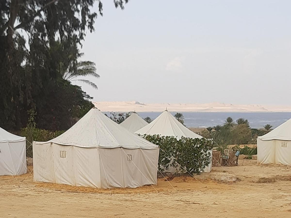 Tunis Camp Fayoum Ruang foto