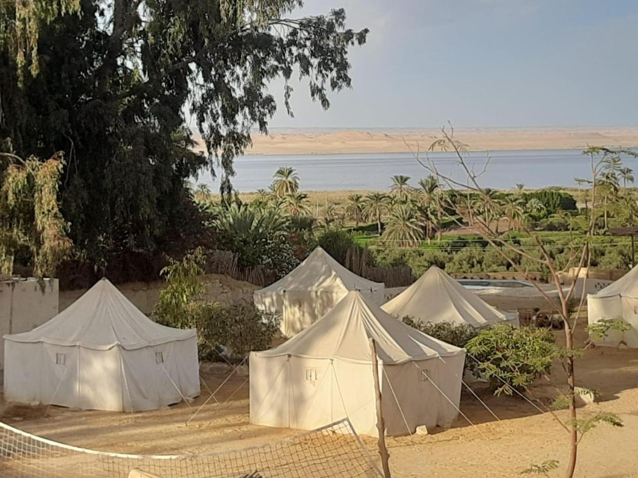 Tunis Camp Fayoum Bagian luar foto
